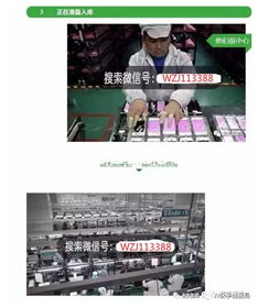 揭秘“香港组装苹果手机”代理背后的暴利与风险 科技广告下的真相