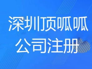 深圳顶呱呱代办服务全解析 一站式解决公司注册与代理记账需求